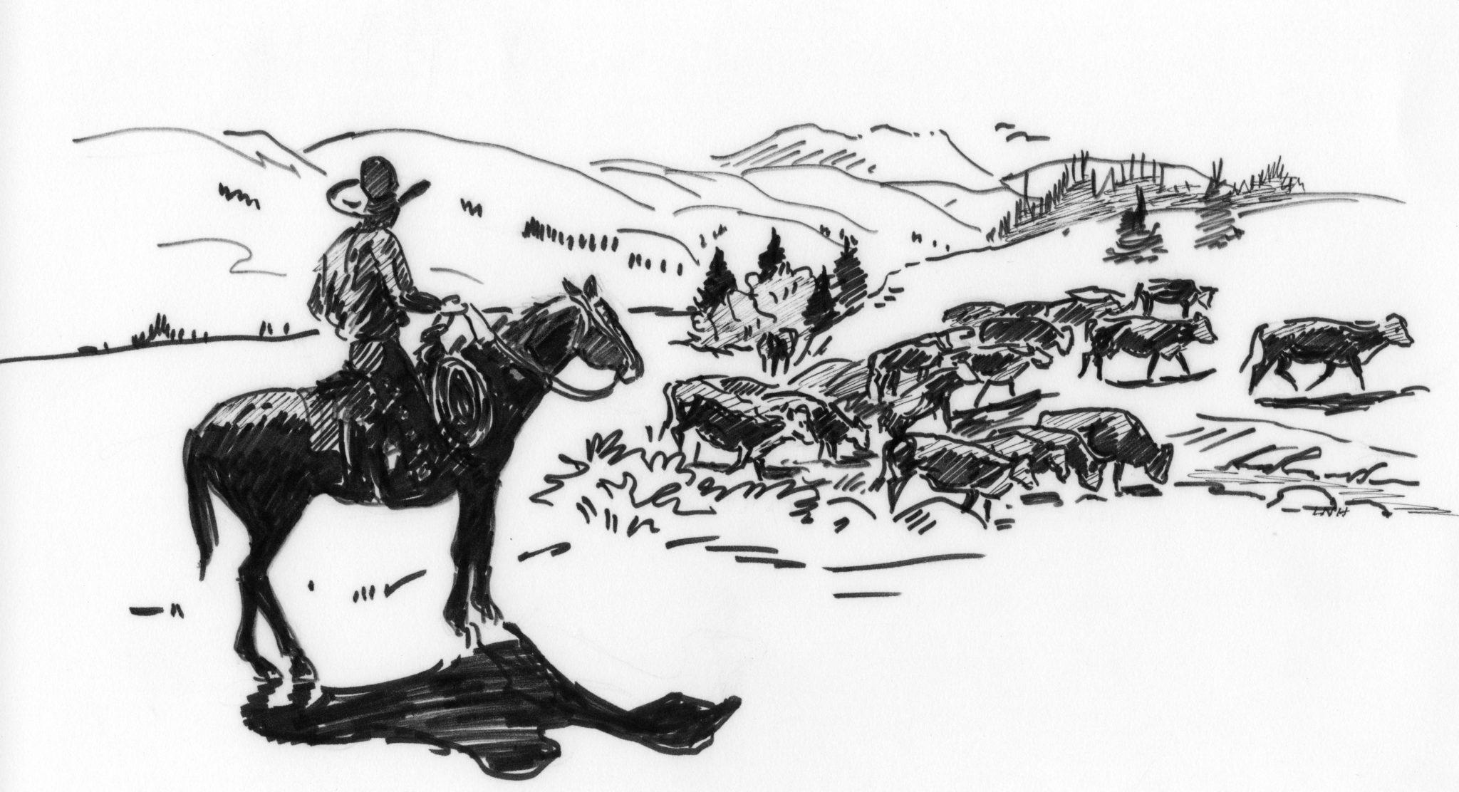 Historical drawing of cowboy